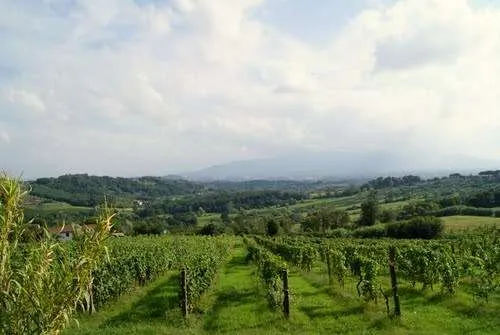Villa in vendita a Capannori - Tofori - foto 4