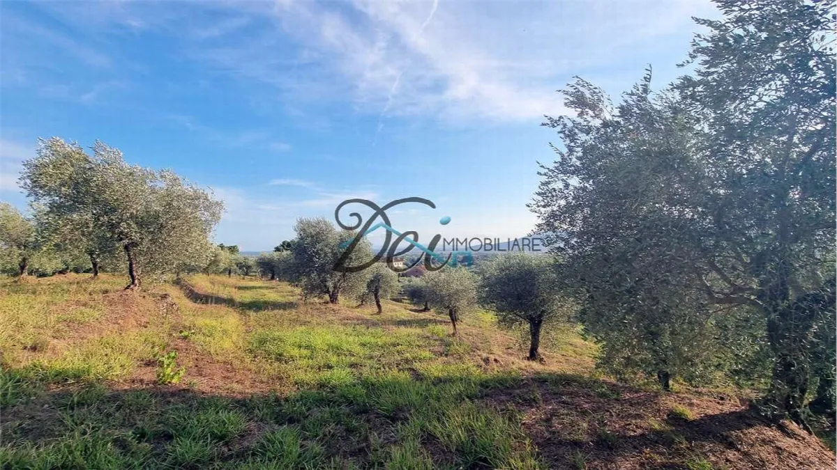 Rustico in vendita a Montecarlo - foto 3