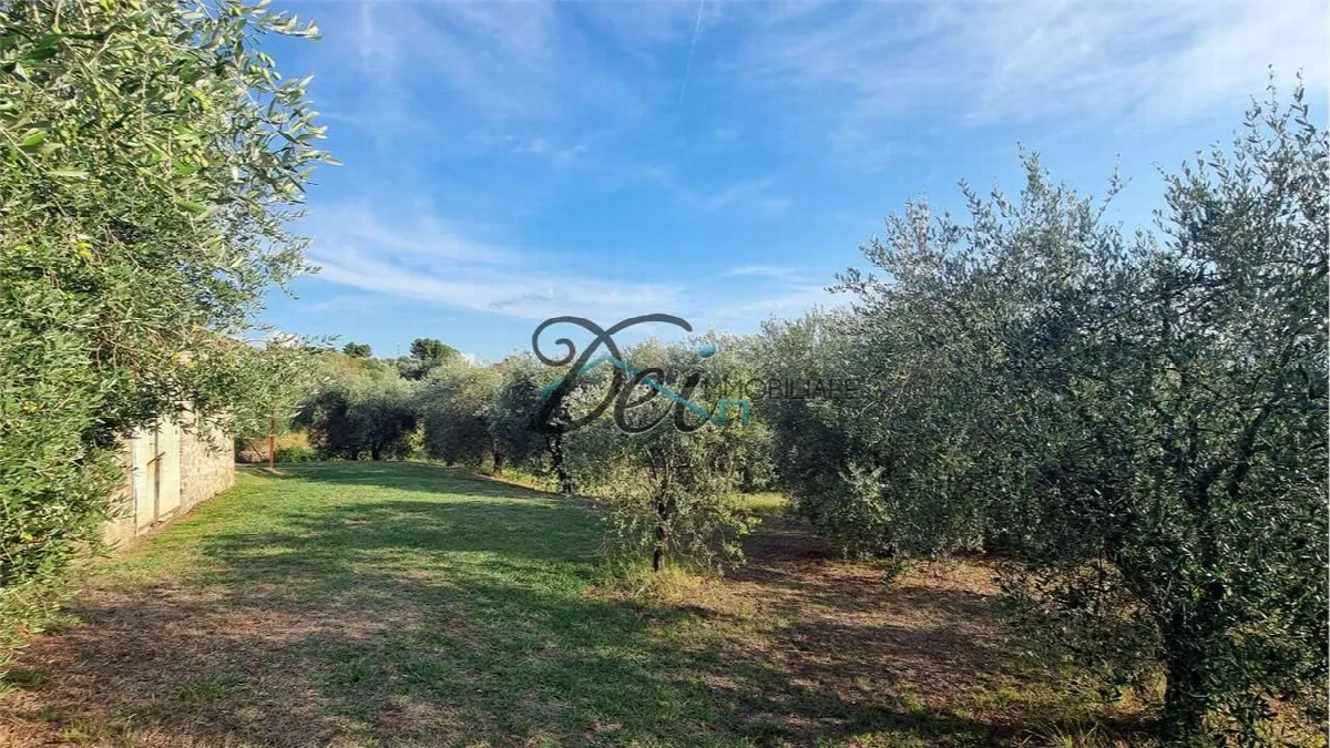 Rustico in vendita a Montecarlo - foto 5