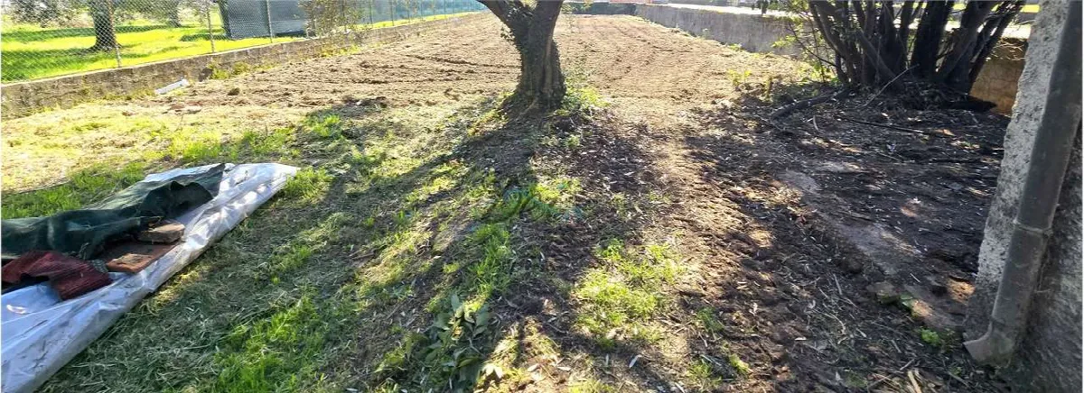 Villa in vendita a Capannori - foto 4