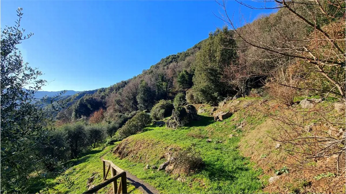 Rustico in vendita a Borgo a Mozzano - foto 10