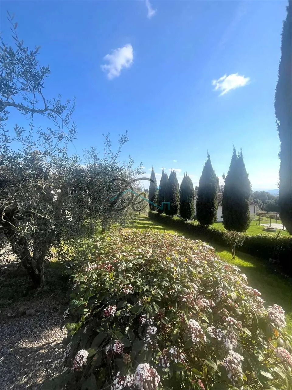 Villa in vendita a Capannori - San Martino in Colle - foto 5