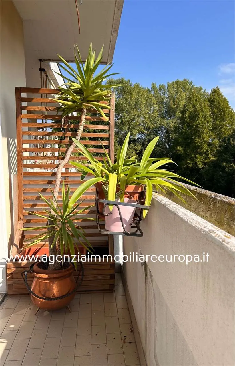 Appartamento in vendita a Padova - CROCEFISSO - foto 2