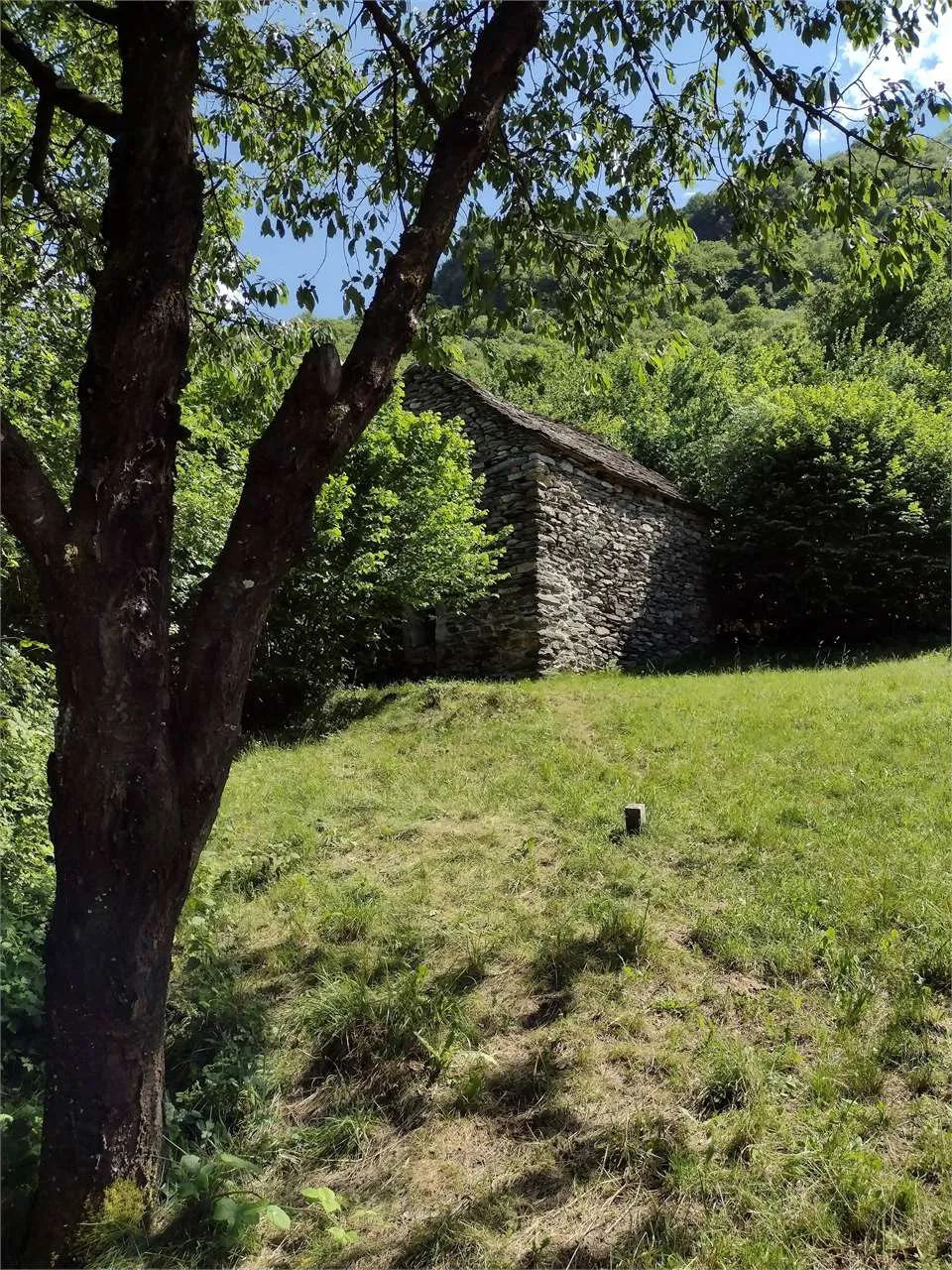 Casa indipendente in vendita a Pieve Vergonte - foto 2