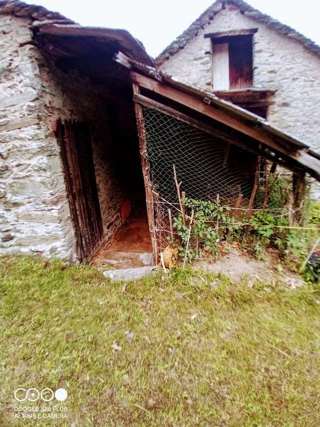 Rustico in vendita a Pieve Vergonte - foto 3