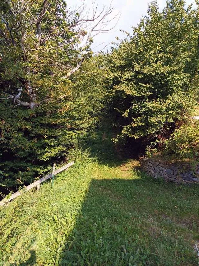 Rustico in vendita a Druogno - foto 6