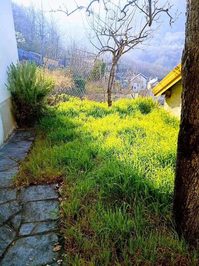 Casa indipendente in vendita a Masera - foto 5