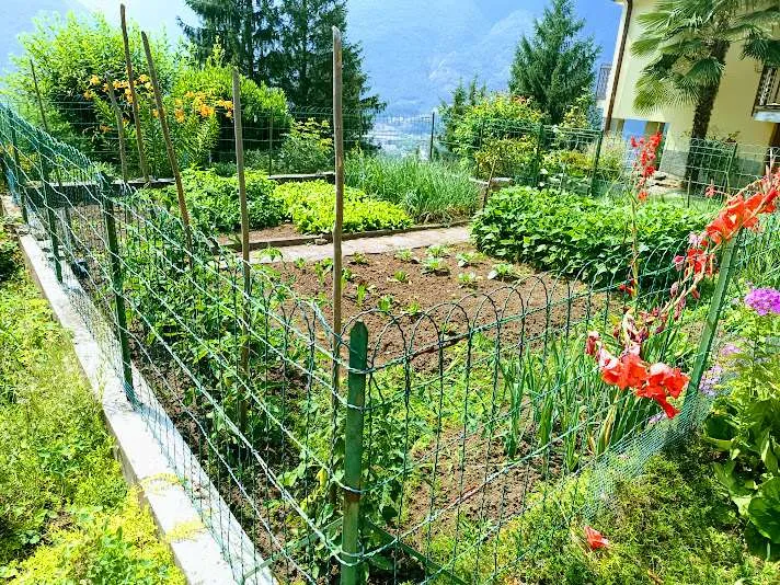 Casa indipendente in vendita a Beura-Cardezza - Cardezza - foto 3