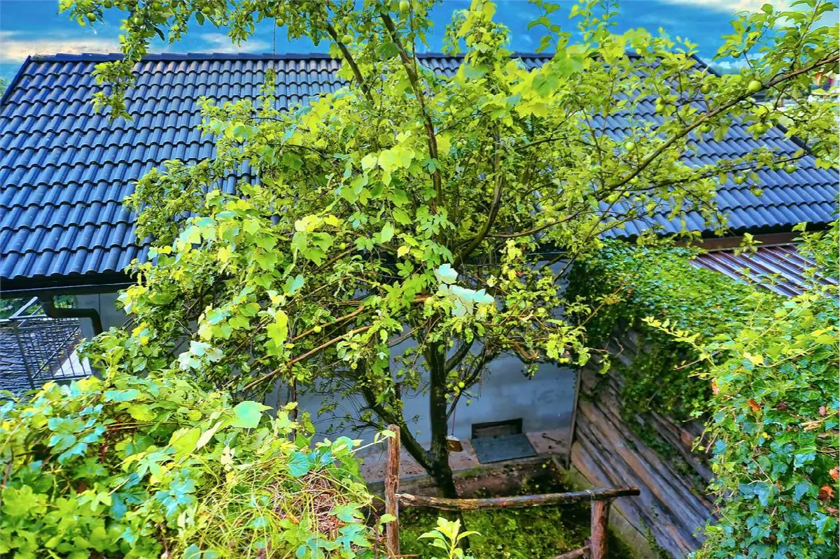 Casa indipendente in vendita a Beura-Cardezza - Cuzzego - foto 6