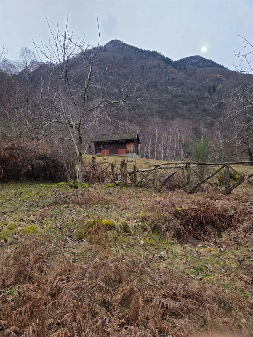 Rustico in vendita a Calasca-Castiglione - foto 4