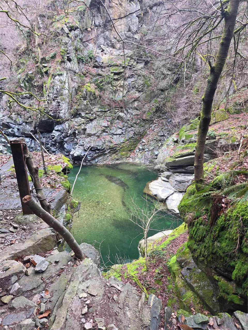 Rustico in vendita a Calasca-Castiglione - foto 5