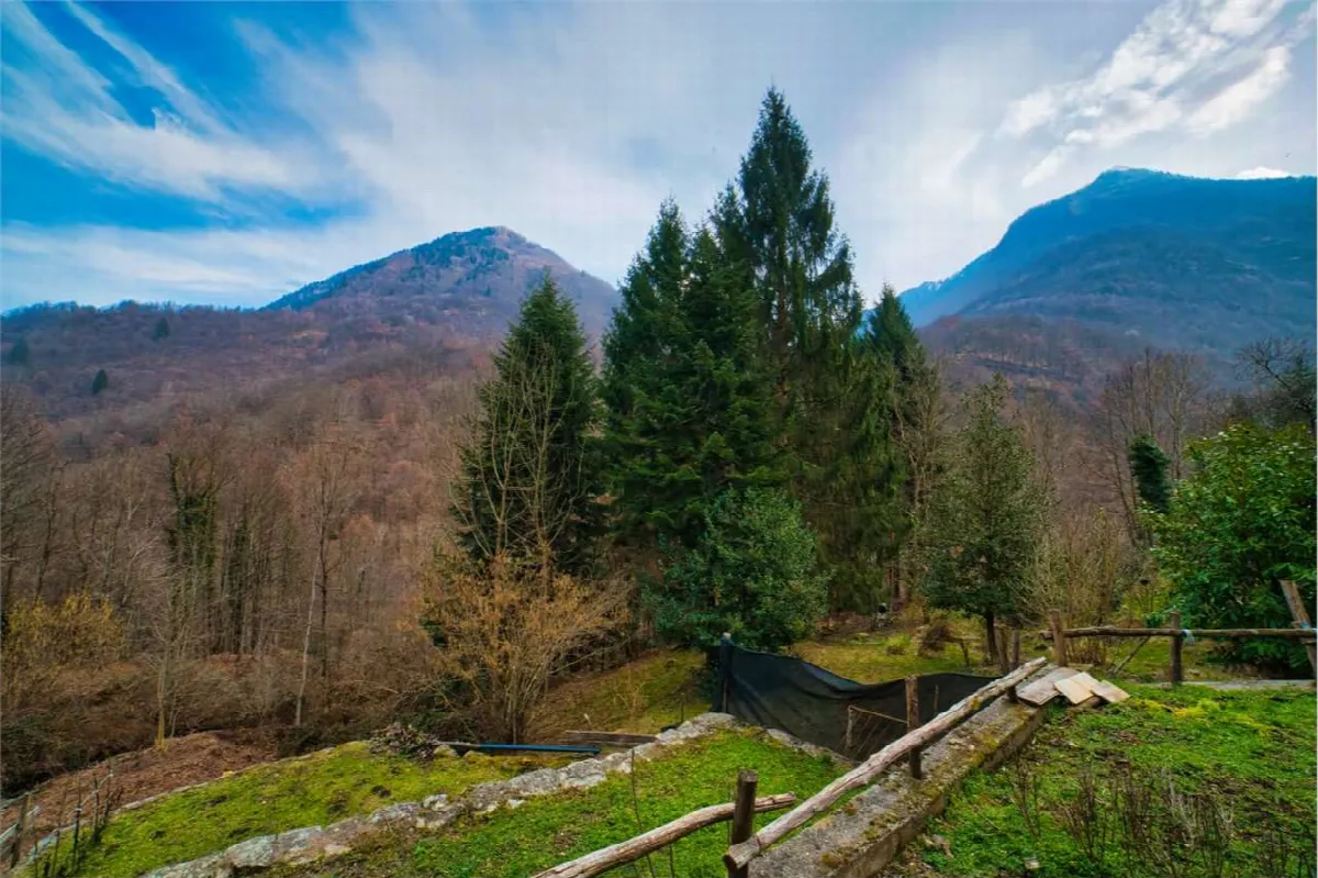 Casa indipendente in vendita a Calasca-Castiglione - foto 9