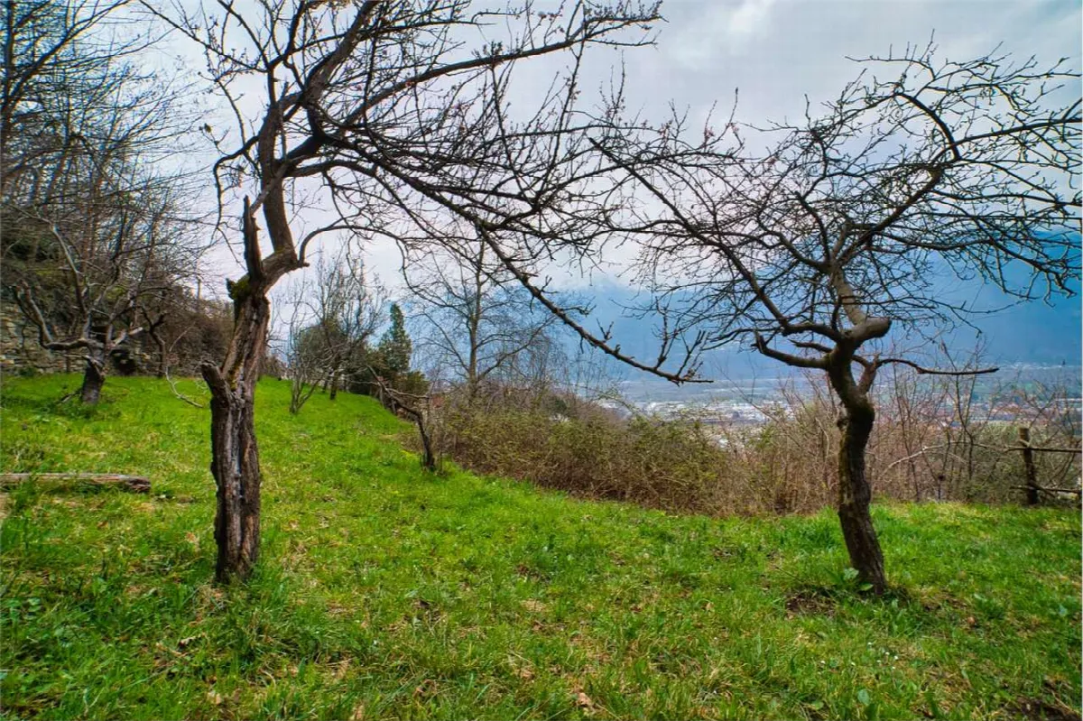 Casa indipendente in vendita a Villadossola - foto 3