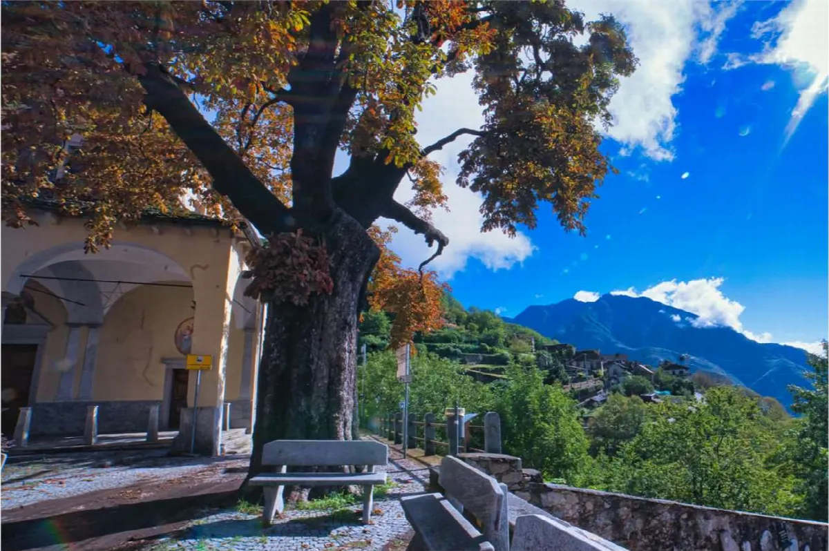 Casa indipendente in vendita a Piedimulera - Cimamulera - foto 3