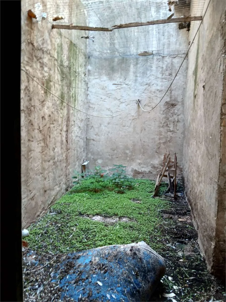 Casa indipendente in vendita a Villafranca Sicula - foto 6