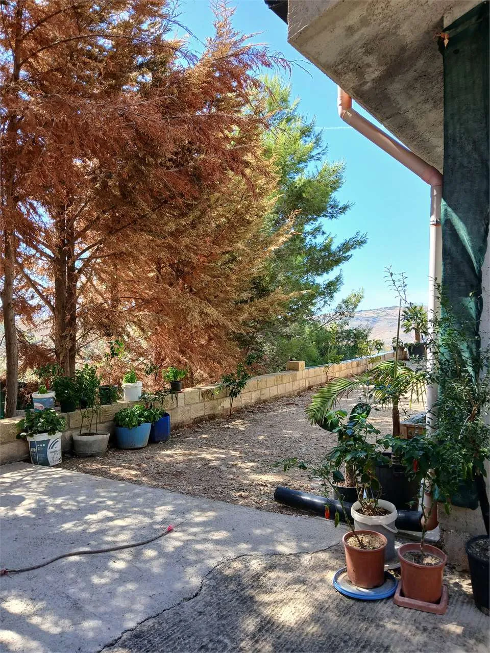 Villa in vendita a Alessandria della Rocca - foto 9