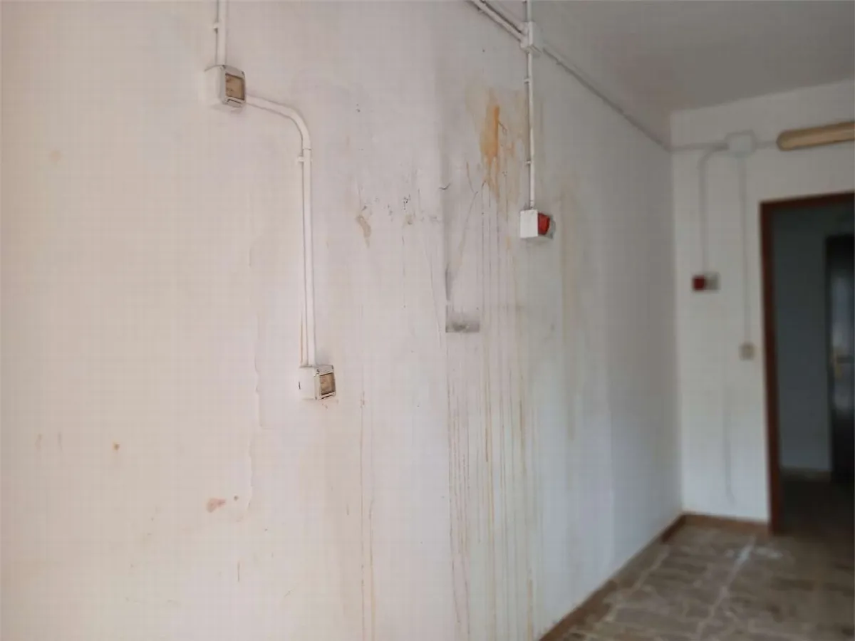 Casa indipendente in vendita a Calamonaci - foto 6
