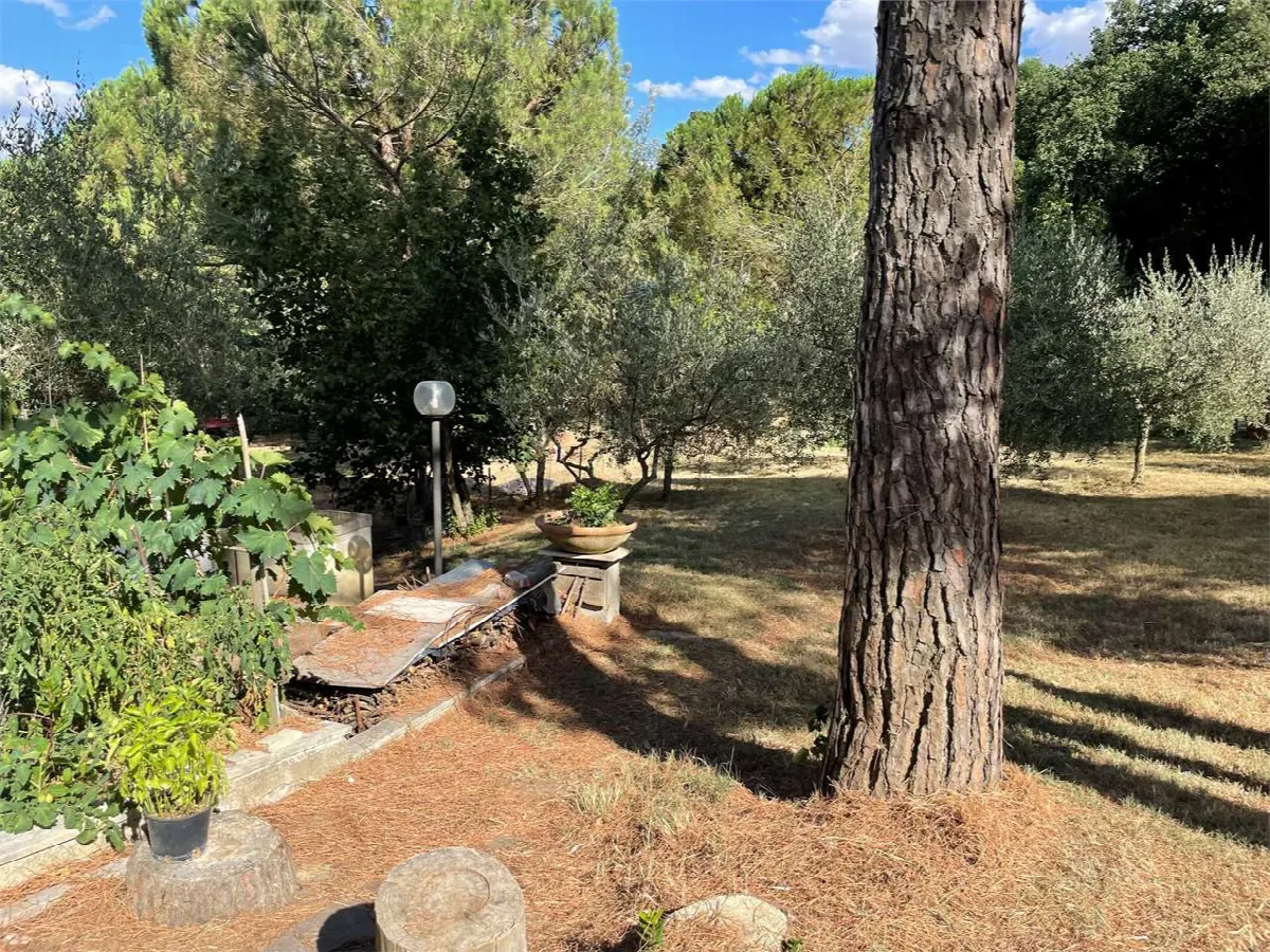 Casa indipendente in vendita a Sinalunga - foto 4