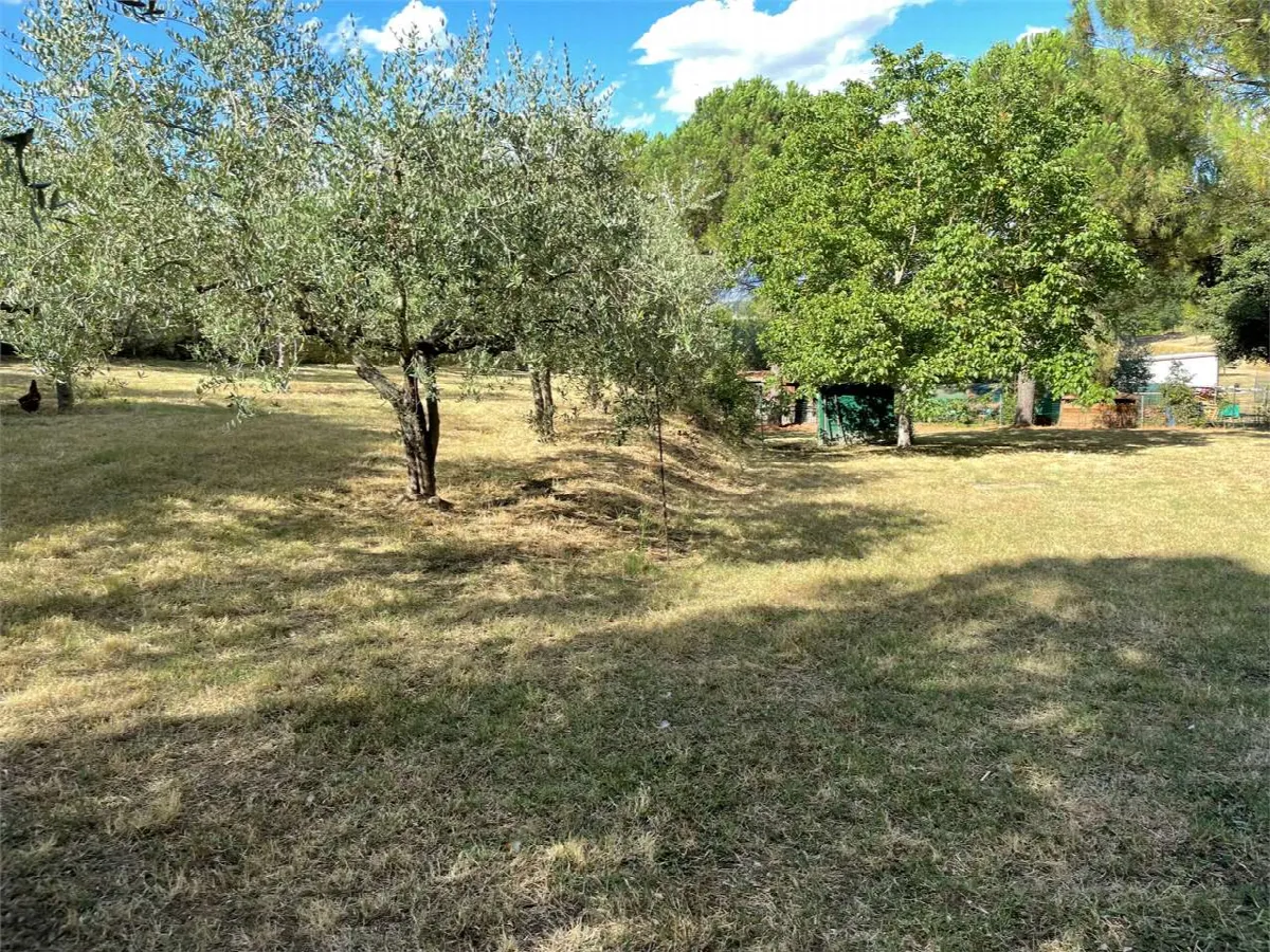 Casa indipendente in vendita a Sinalunga - foto 6