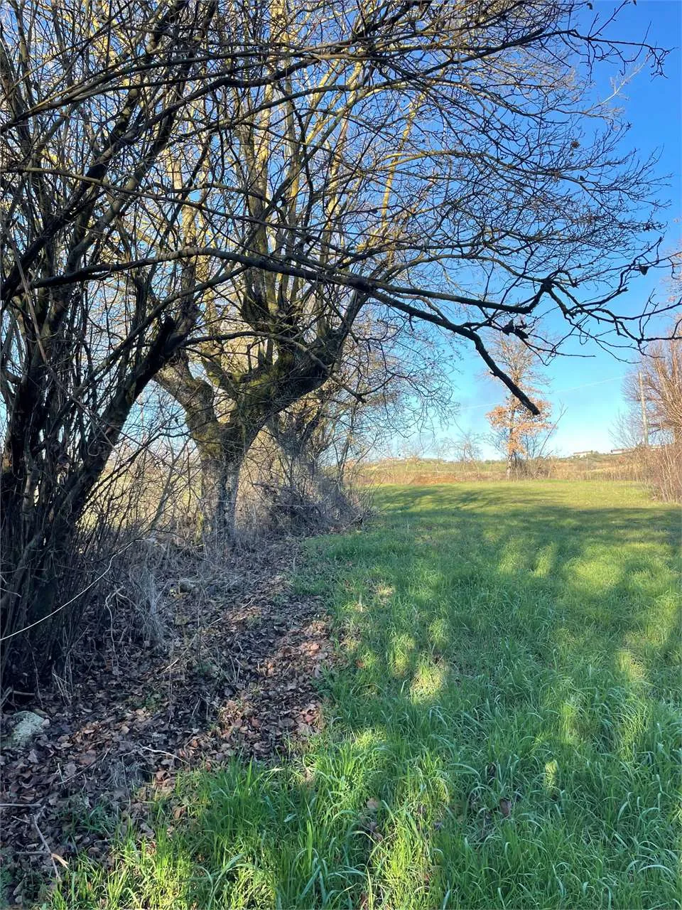 Rustico in vendita a Marciano della Chiana - foto 8
