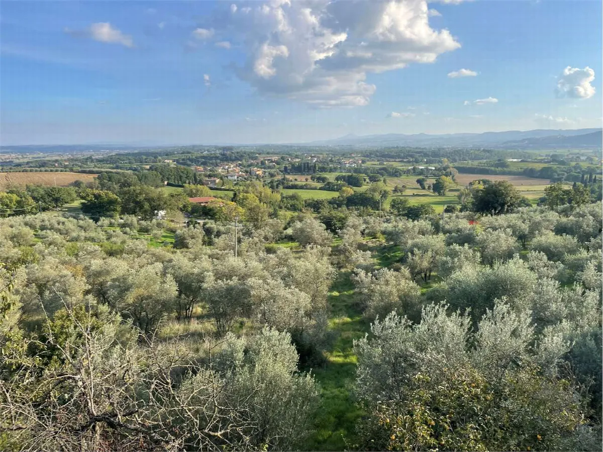 Villa in vendita a Lucignano - foto 8