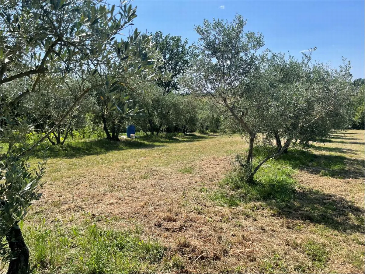 Casa indipendente in vendita a Marciano della Chiana - foto 10