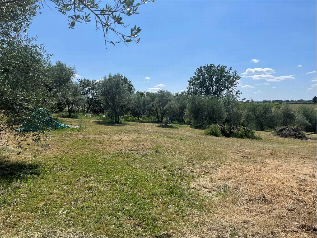 Casa indipendente in vendita a Marciano della Chiana - foto 6