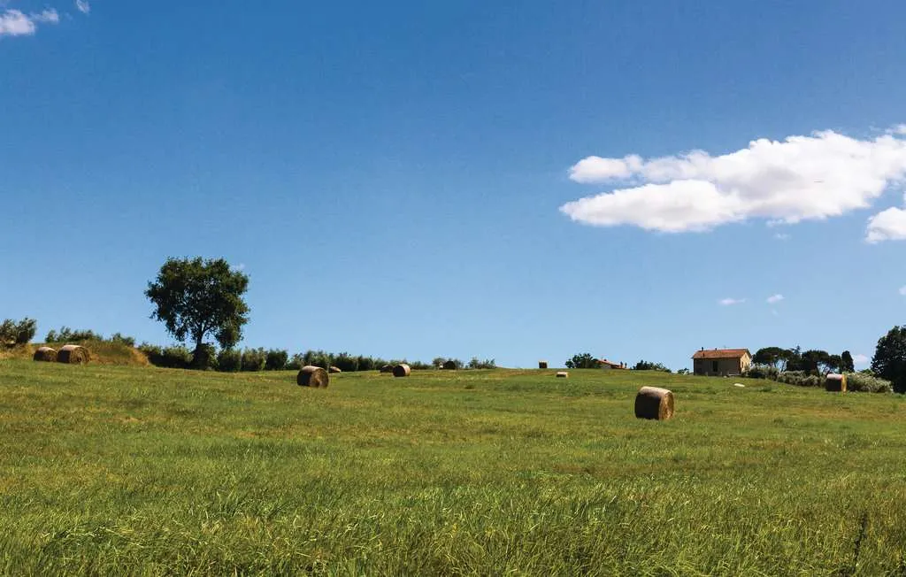 Rustico in vendita a Cortona - Montecchio - foto 9