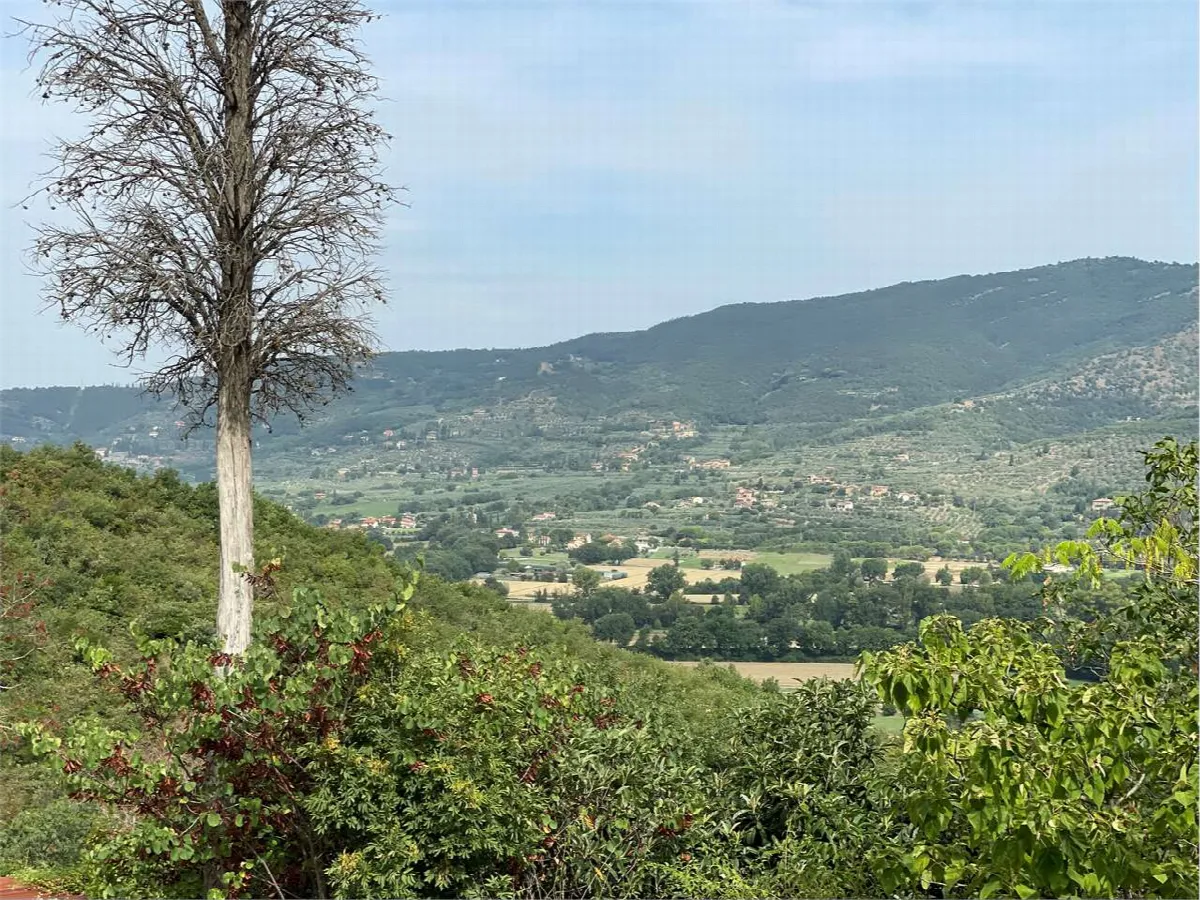 Rustico in vendita a Castiglion Fiorentino - Pergognano - foto 6