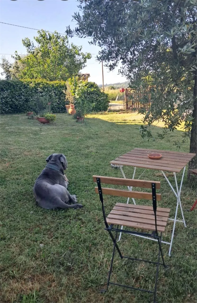 Rustico in vendita a Foiano della Chiana - foto 6