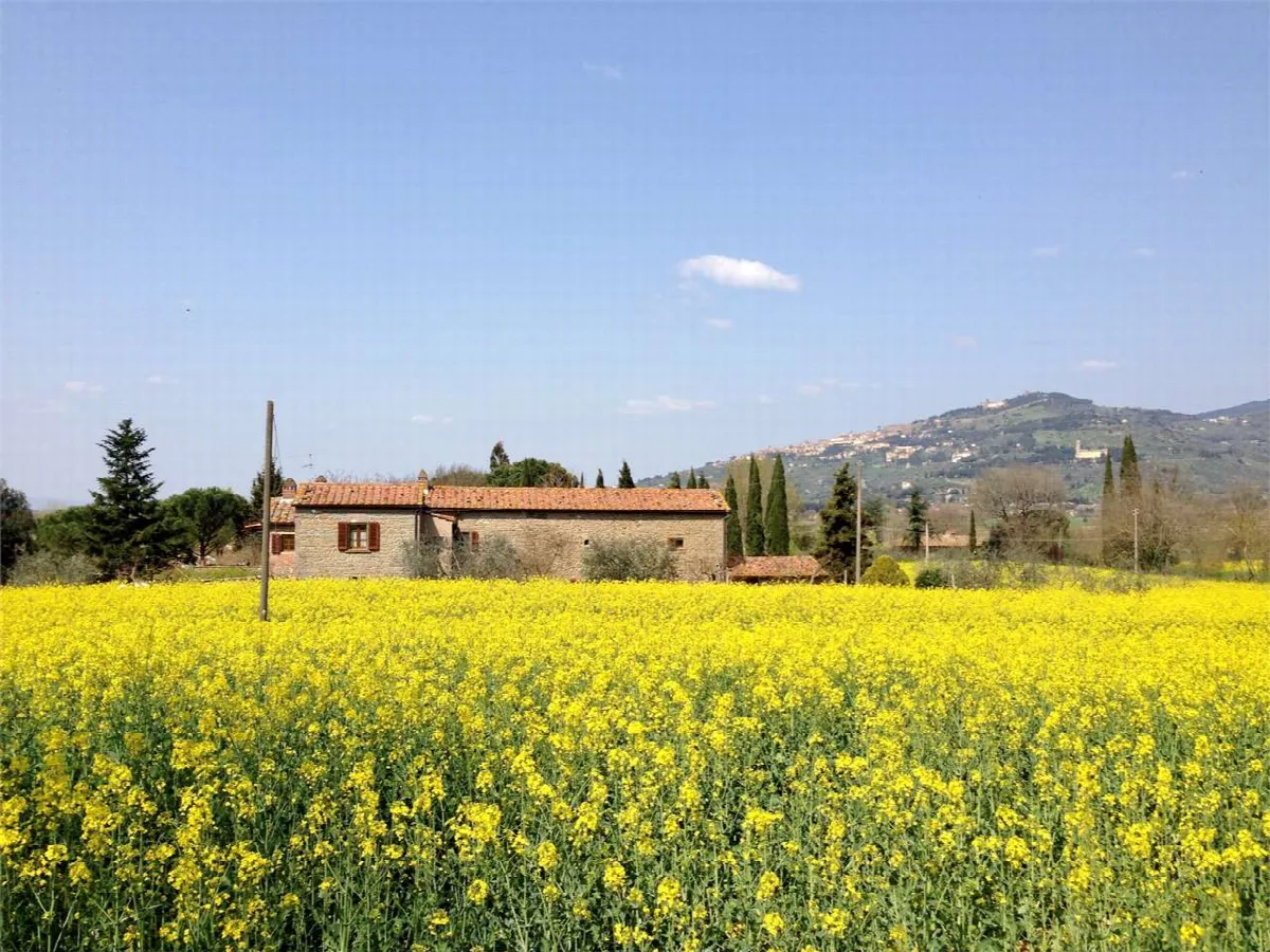 Rustico in vendita a Cortona - Ossaia - foto 2
