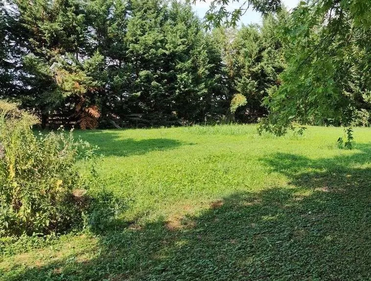 Stabile in vendita a Boretto - foto 5