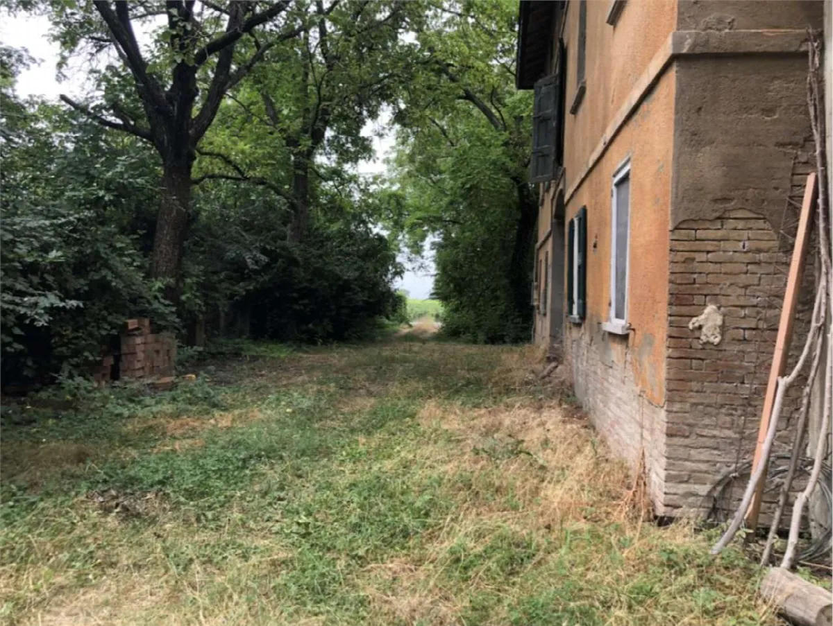 Stabile in vendita a Correggio - foto 3