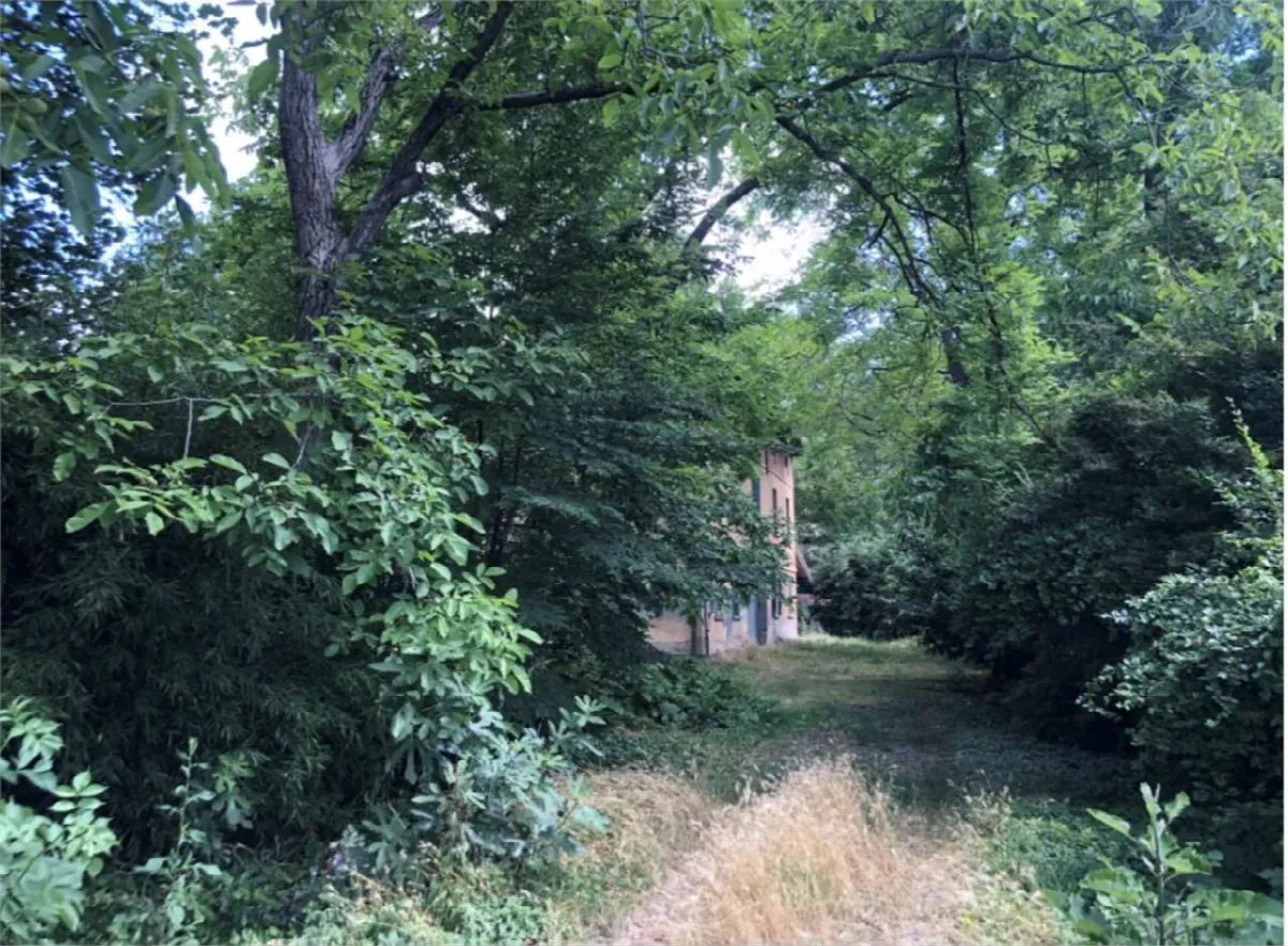 Stabile in vendita a Correggio - foto 4