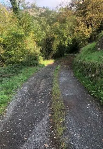 Casa indipendente in vendita a Borzonasca - foto 4