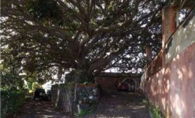 Villa in vendita a Catania - foto 6