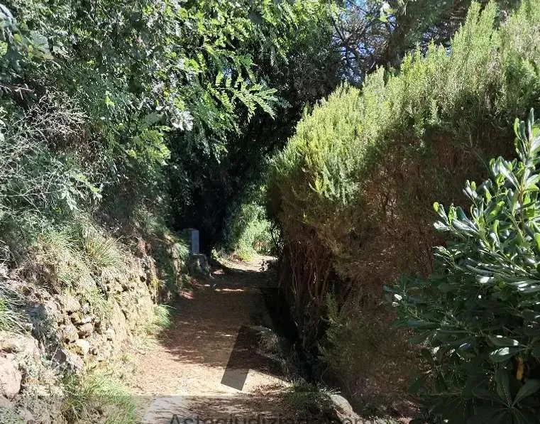 Rustico in vendita a Santa Margherita Ligure - Paraggi - foto 5