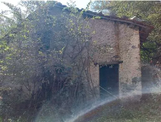 Appartamento in vendita a Pallare - foto 4