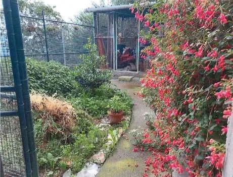 Casa indipendente in vendita a Giustenice - foto 8