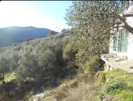 Villa in vendita a Leivi - foto 4