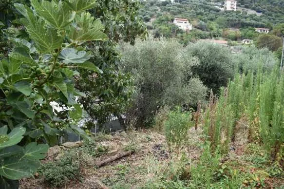 Casa indipendente in vendita a Sanremo - foto 4