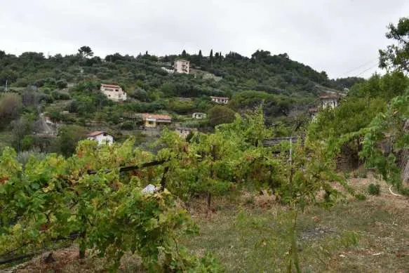 Casa indipendente in vendita a Sanremo - foto 5