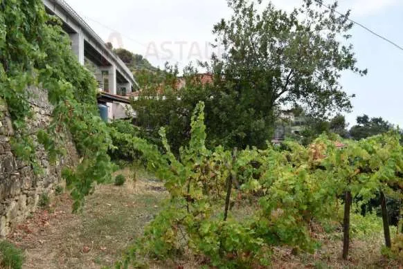 Casa indipendente in vendita a Sanremo - foto 6