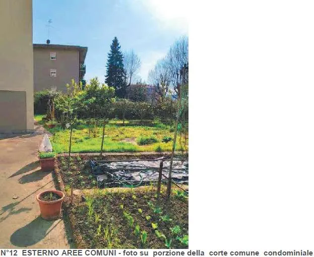 Appartamento in vendita a Sarzana - foto 9