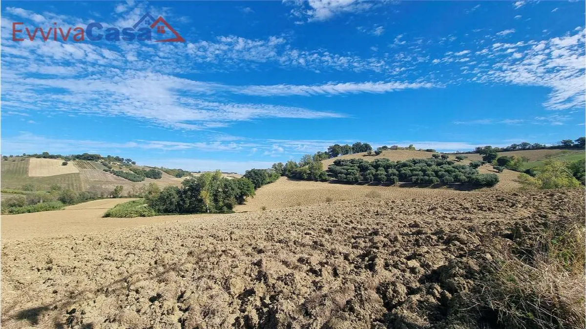 Rustico in vendita a Santa Maria Nuova - Collina - foto 5