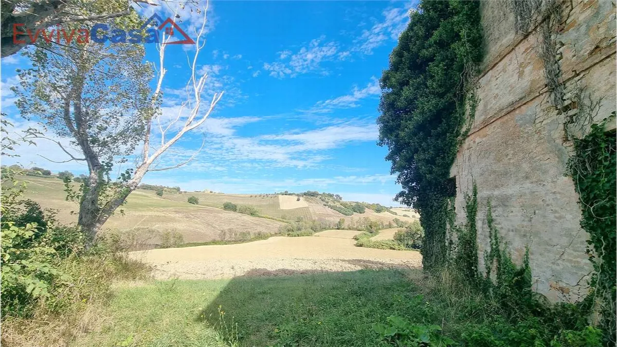 Rustico in vendita a Santa Maria Nuova - Collina - foto 8