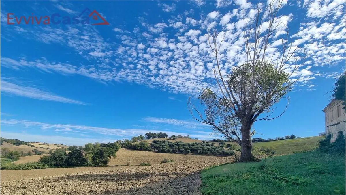 Rustico in vendita a Santa Maria Nuova - Collina - foto 9