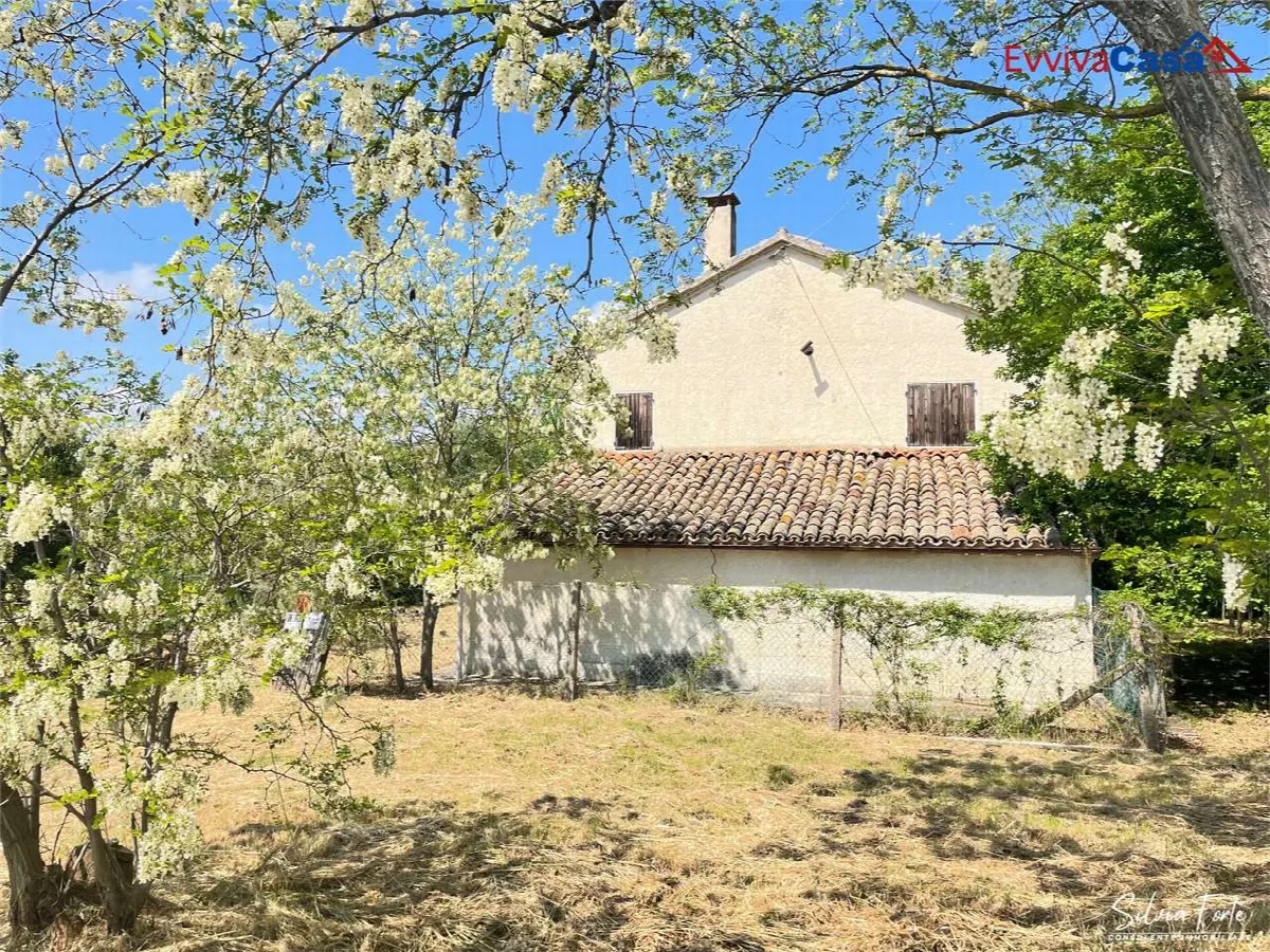 Rustico in vendita a Castel Colonna - foto 4