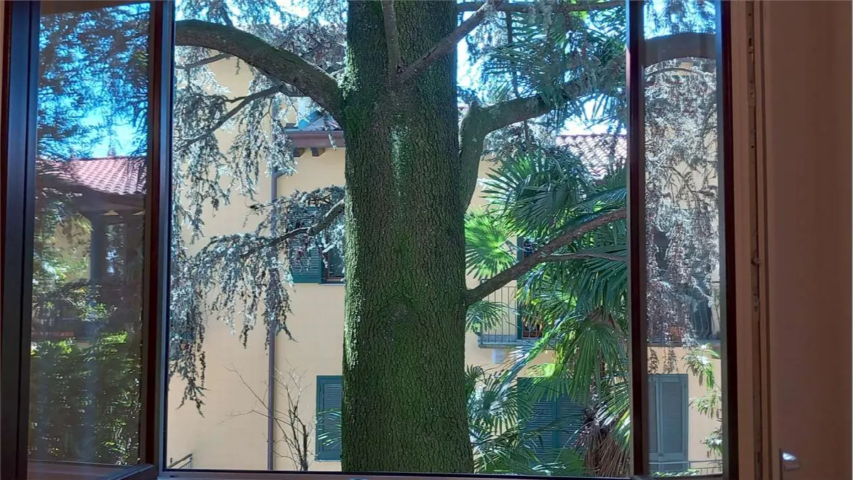 Appartamento in vendita a Varese - foto 2
