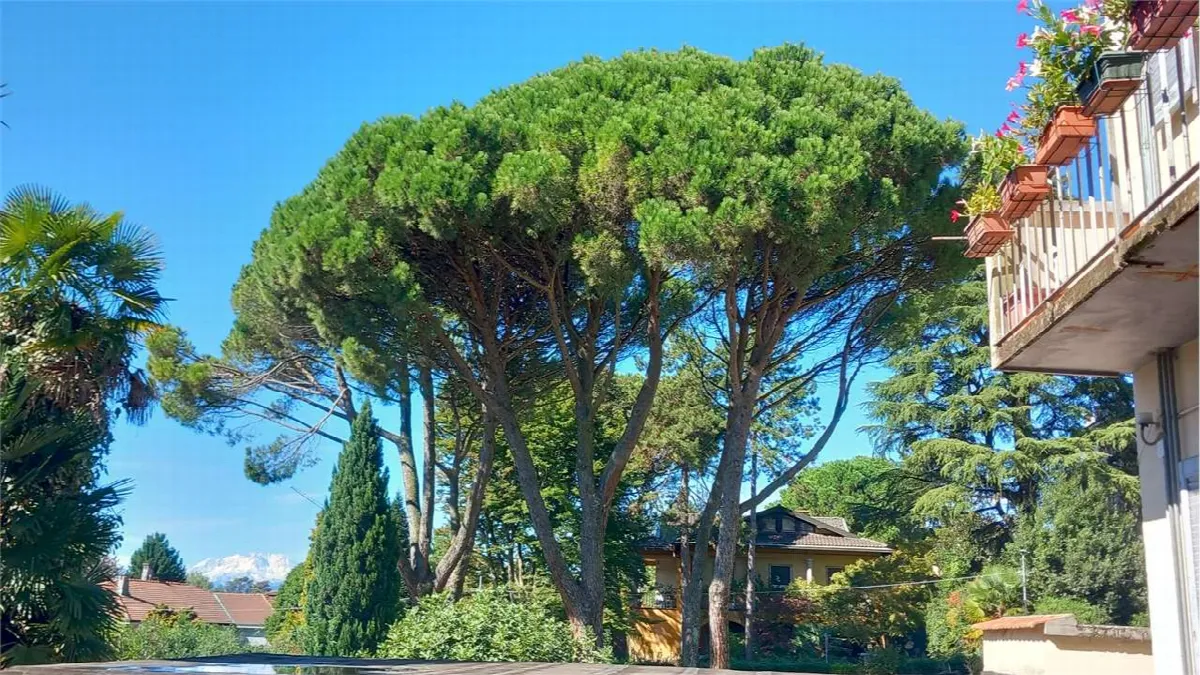 Appartamento in vendita a Varese - foto 4